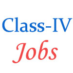 Upcoming 368 Class IV Employee posts by MP High Court - September 2014