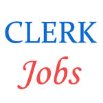 Rashtriya Sanskrit Sansthan - Clerk Jobs
