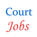 Computer Operator-cum-Typist Jobs in Patna High Court