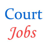 High Court Chhattisgarh Jobs