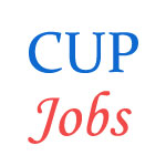 Faculty and Non-Faculty job posts in Central University of Punjab -  October 2014