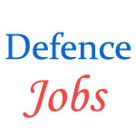 Post of Navik (Domestic Branch) (Cook & Steward) in Indian Coast Guard