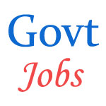 Typist and Data Entry Operator Jobs in Odisha High Court - December 2014