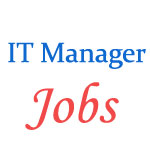 IT Manager posts in Bihar State Power Holding Company 