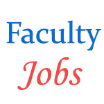 Central University of Jammu - Faculty Jobs