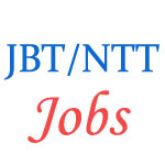 JBT and NTT Jobs in Chandigarh Education Department - November 2014