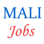 Mali Gardener Jobs in President Secretariat