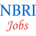 Upcoming Scientist posts in NBRI Lucknow - November 2014