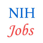 Scientists Jobs in National Hydrology Institute