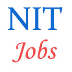 NIT Goa Jobs