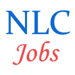 Upcoming Jobs for Professionals in Neyveli Lignite - September 2014