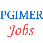 Upcoming Jobs in PGI Chandigarh - December 2014