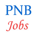 Specialist Officer Jobs in PNB