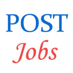 Postman and Mailguard Jobs in Delhi Circle - November 2014