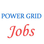 POWER GRID CORPORATION Jobs