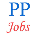 Punjab Police Jobs - Constable Special Security Group