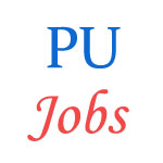 Punjabi University Assistant Professor Jobs