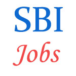 SBI Specialist Officer Jobs
