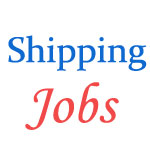 Marine Engineer Jobs in Shipping Corporation Of India