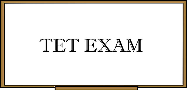 TET Exam: Syllabus & Preparation Tips