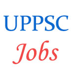 UP Instructors Post by UPSSSC