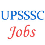 Excise Constable govt jobs in UPSSSC